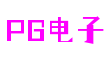 广东省深圳市电子PG数控科技有限公司